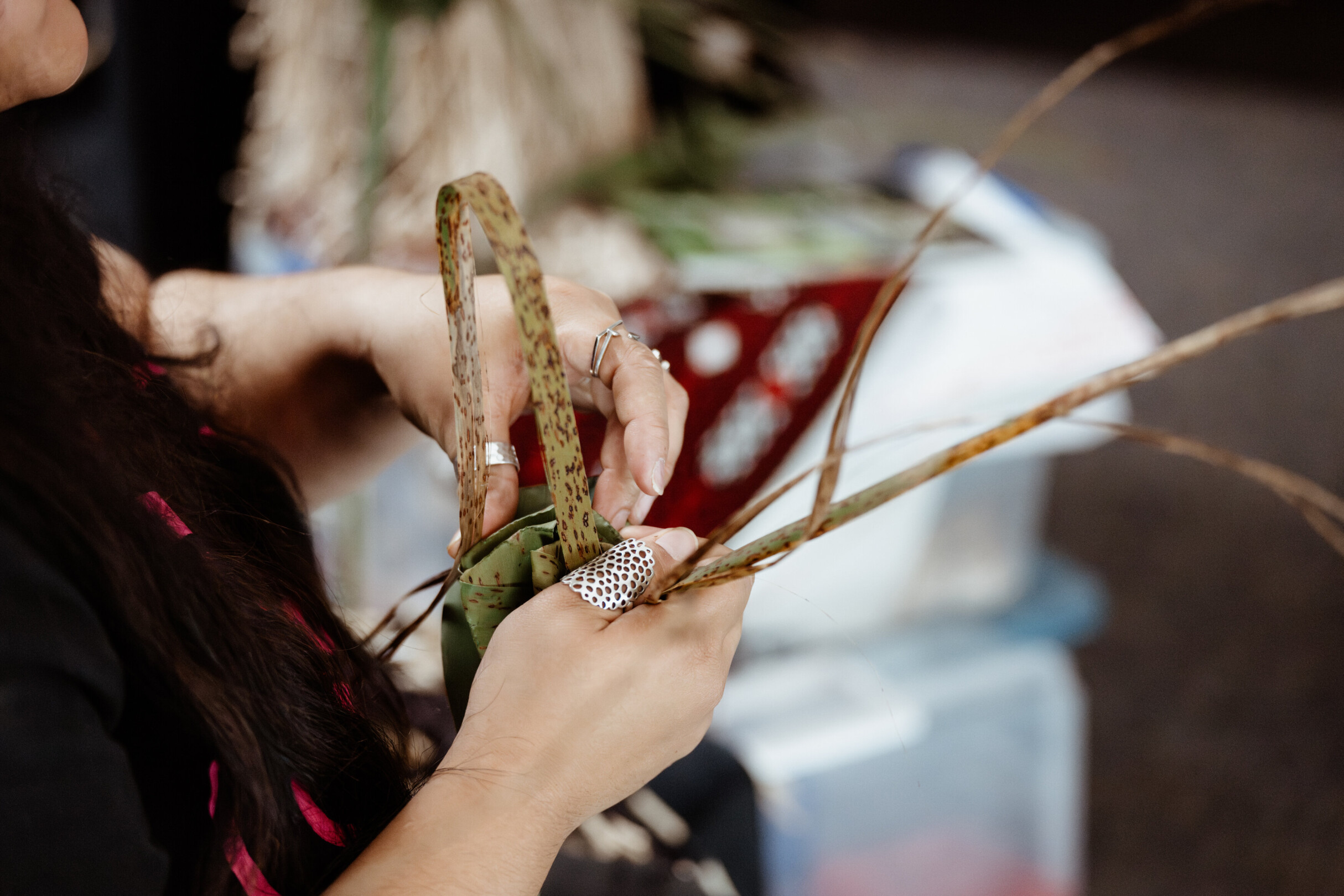 rsz dz9 8025 tataki oysterandmoonactivation 1359