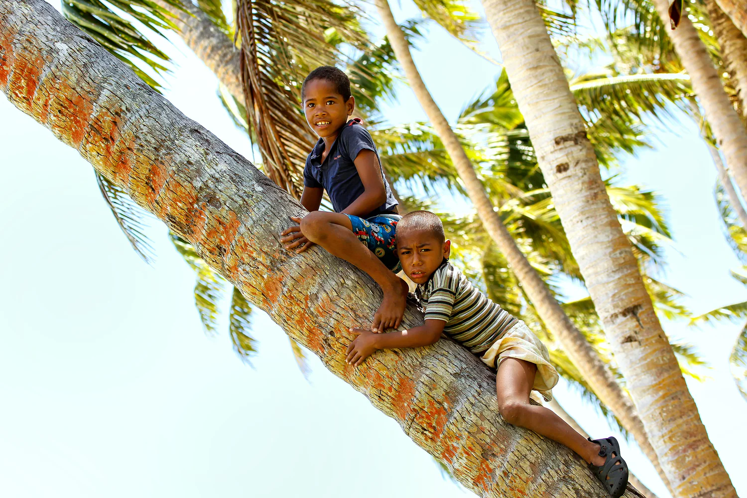 Kids Fiji Coconut Oil