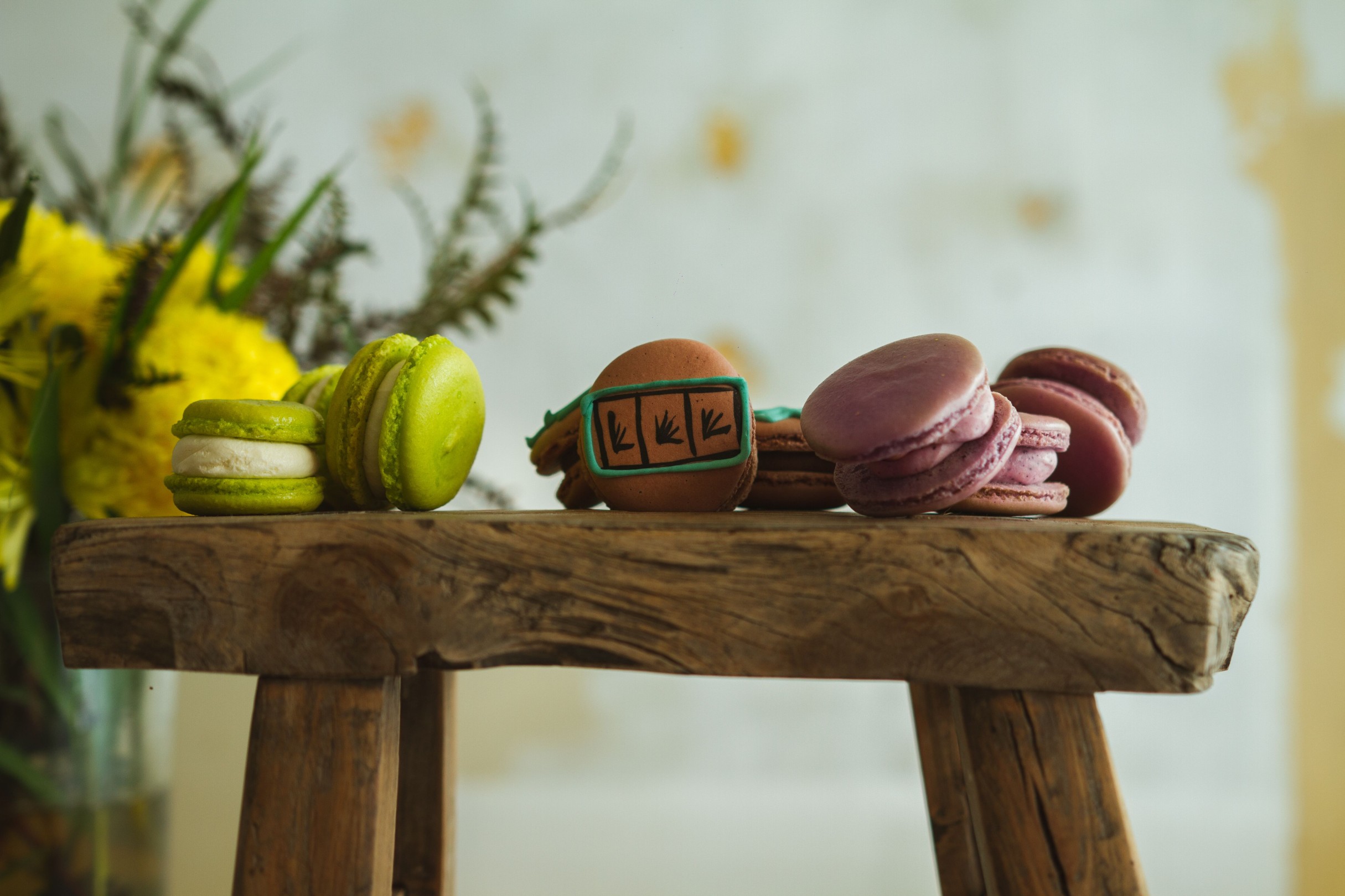 MACARONS 2 compressed